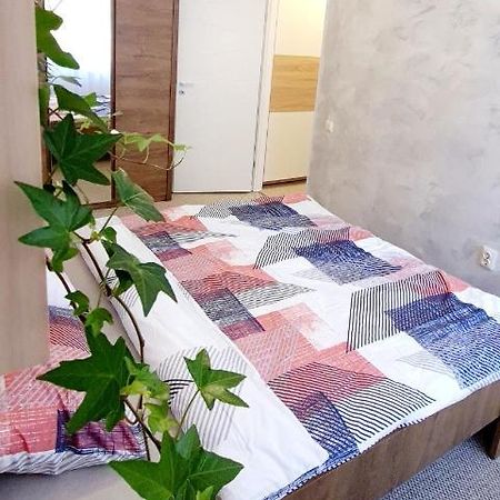 Larisa Apartment Cluj-Napoca Esterno foto